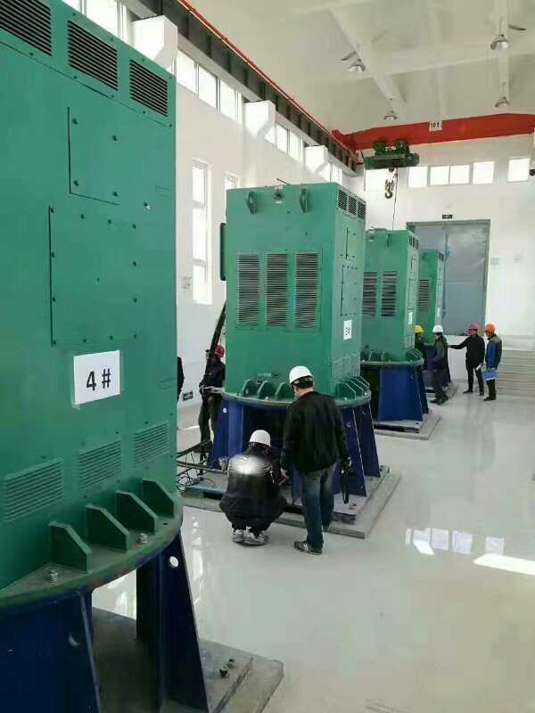 天安乡某污水处理厂使用我厂的立式高压电机安装现场