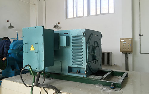 天安乡某水电站工程主水泵使用我公司高压电机